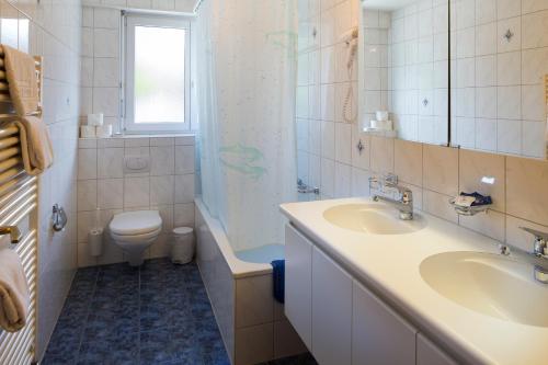 瑟伦贝格索仁博格酒店的一间带水槽、卫生间和淋浴的浴室