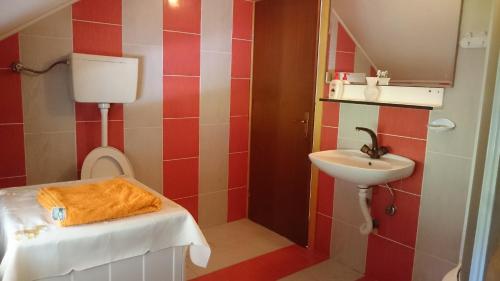 LužineApartman Denis Una的一间带卫生间和水槽的小浴室