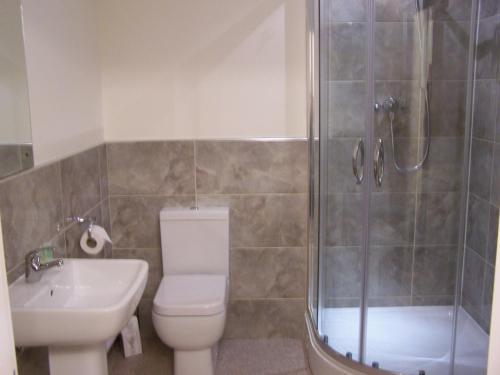 马基特雷森白天鹅酒店的浴室配有卫生间、盥洗盆和淋浴。
