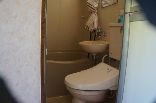 南鱼沼市新福田屋酒店的一间带卫生间和水槽的浴室