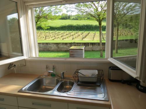 Paris-lʼHôpitalLes Vignes de Paris的厨房水槽和享有葡萄园景致的窗户