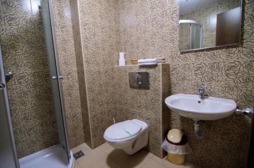赛比什Hotel FAN Sebes的一间带水槽、卫生间和淋浴的浴室