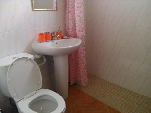 Ribeira GrandeDamontanha的浴室配有白色卫生间和盥洗盆。