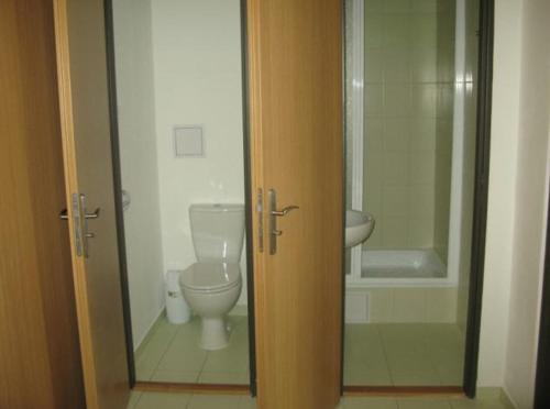 布拉迪斯拉发乌尼诺瓦旅馆的一间带卫生间和浴缸的浴室