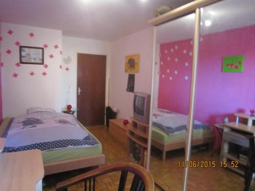 巴塞尔巴塞尔市漂亮房间住宿加早餐旅馆的一间卧室配有一张床和一台电视。
