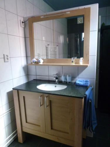 Jutrijpde Wylgepleats的一间带水槽和镜子的浴室