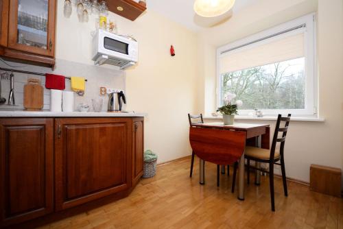 比尔什托纳斯Ramresort Apartment的厨房配有桌椅和窗户。