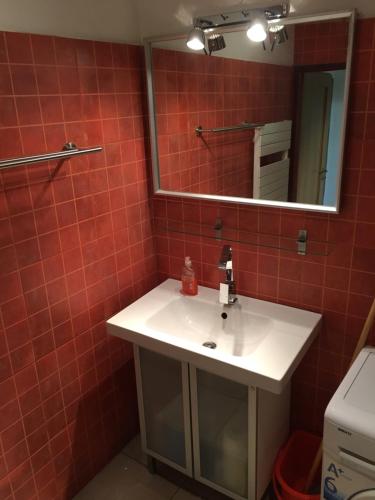 德辛City Apartment Děčín的浴室设有白色水槽和镜子