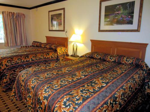 阿林顿Budget Host Inn的酒店客房,设有两张床和一盏灯