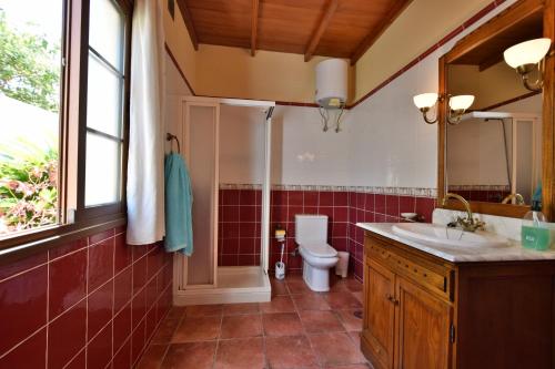 埃尔帕索Casas Rurales Tola的一间带卫生间、水槽和镜子的浴室