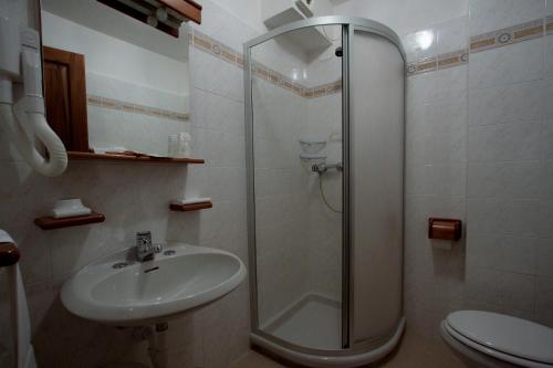 托尔诺全景酒店的带淋浴和盥洗盆的浴室