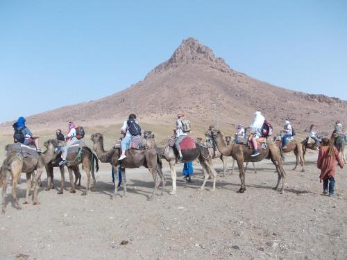 扎古拉Bivouac Draa的一群在沙漠中骑马的人