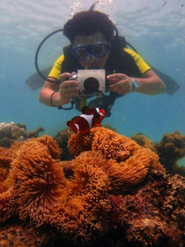 停泊岛弗洛拉湾1号酒店的拍着珊瑚礁照片的人