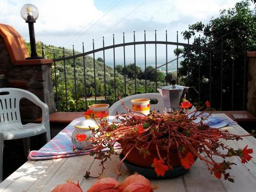 UzzanoCasa Velia的阳台上的桌子上放着盆栽植物