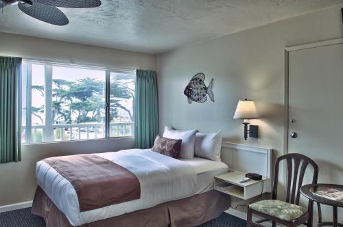 太平洋丛林情人旅馆的酒店客房设有床和窗户。