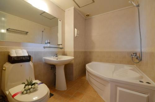保宁市Nova Motel的浴室配有卫生间、盥洗盆和浴缸。