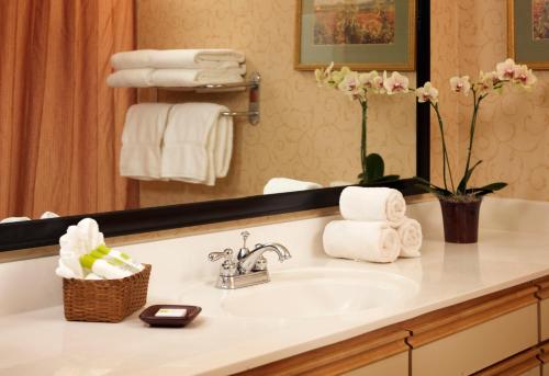 贝尔维尤贝勒维拉克斯普兰廷全套房酒店的浴室配有盥洗盆、镜子和毛巾