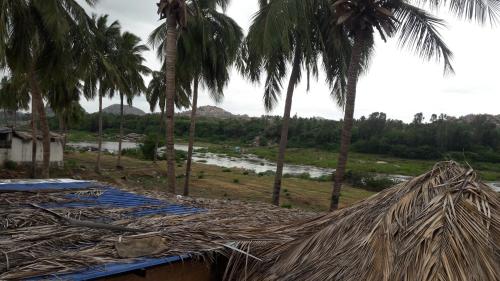 亨比Kiran River View Guest House的棕榈树建筑顶部的一大堆草