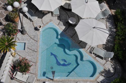 里米尼艾斯德拉酒店的享有带遮阳伞的游泳池的顶部景致