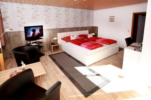 布劳恩拉格Hotel Brunnenbach的一间卧室配有一张床和一台电视