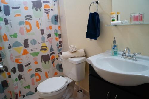 蒙特雷MV Suites的浴室设有卫生间、水槽和淋浴帘