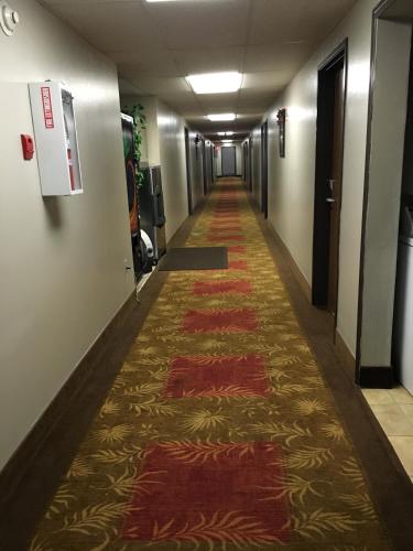 Becker贝克尔酒店及套房的办公室大楼的走廊,地毯
