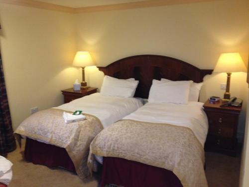 Great Cressingham奥尔德风车酒店的酒店客房设有两张床和两盏灯。