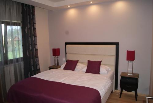 根尼斯迪亚斯Villamandala的一间卧室配有一张带紫色枕头的大床