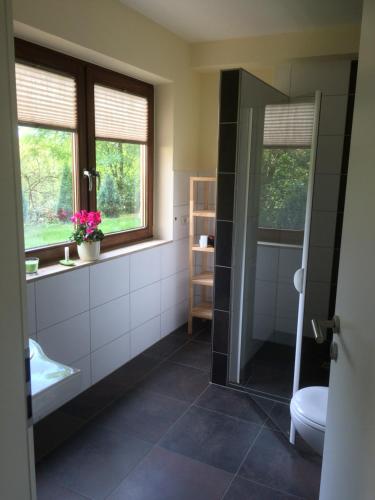 哈滕海姆Haus am Leimersbach的带淋浴和卫生间的浴室