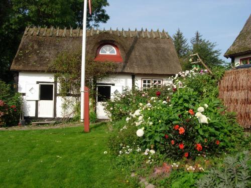 NyordTravel back in time的白色的小房子,有茅草屋顶和鲜花