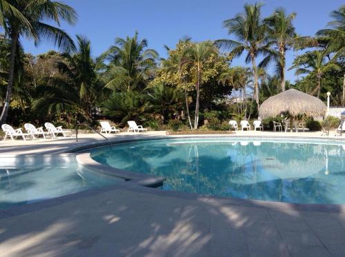 圣安德烈斯Sitio exclusivo y tranquilo的一个带椅子和棕榈树的大型游泳池