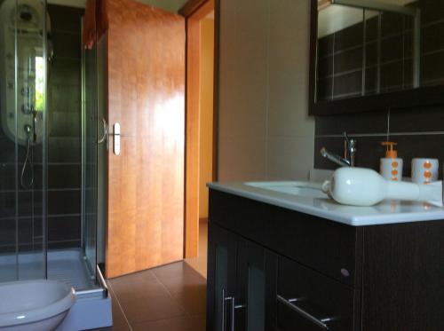 雷森迪Casal de Pene的一间带水槽、淋浴和卫生间的浴室