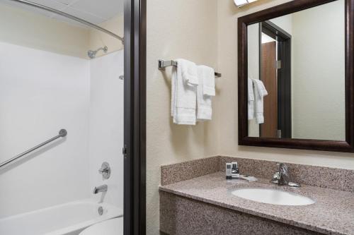 Lake City湖城阿美瑞辛山林小屋和套房酒店的浴室配有盥洗盆、镜子和浴缸