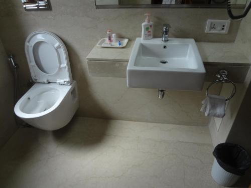 孟买阿斯托利亚酒店的一间带卫生间和水槽的浴室