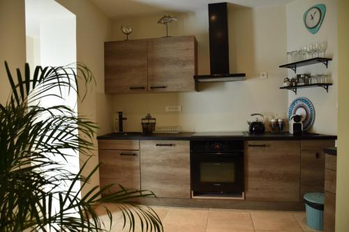 马赛苏乐克劳切公寓的厨房配有木制橱柜和黑烤箱。