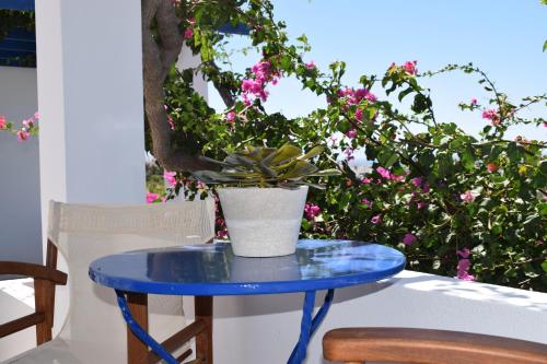 帕罗奇亚Villa Anna的上面有盆栽的蓝色桌子