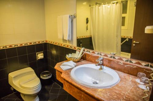 迪拜萨佛伦精品酒店的一间带卫生间和水槽的浴室