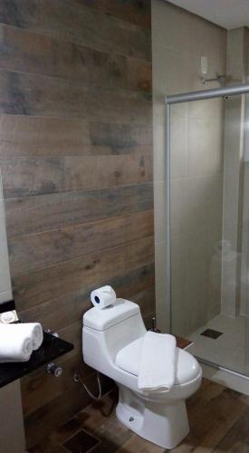 格拉玛多Hospedagem domiciliar Gramado的一间带卫生间和玻璃淋浴间的浴室