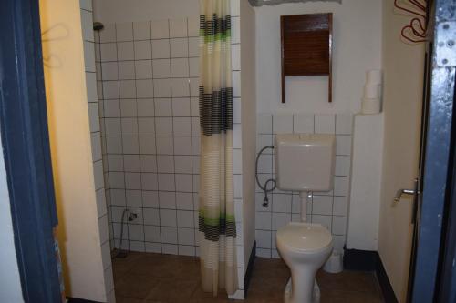 帕拉马里博Klein-kronenburg Bakkershuisje的一间带卫生间和淋浴帘的浴室