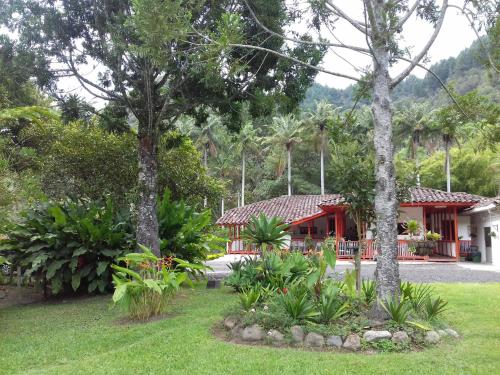 Hostal Rio Arabia - Valle De Cocora HOTEL的庭院或其他户外区域