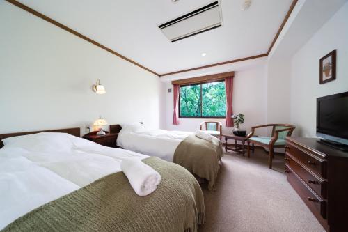 白马村Wadano Forest Hotel & Apartments的一间卧室配有两张床和一台平面电视