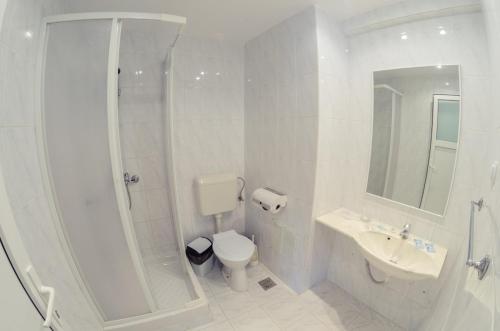 普雷代亚尔特雷布拉奇小屋酒店的带淋浴、卫生间和盥洗盆的浴室