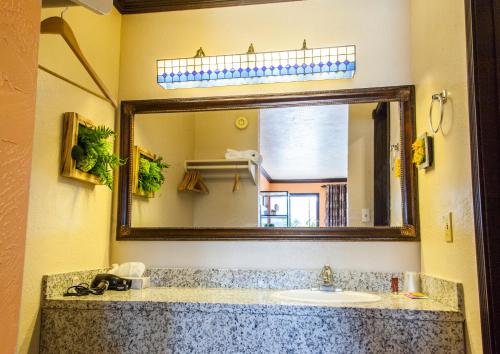 帕罗万山景住宿酒店的一间带水槽和大镜子的浴室