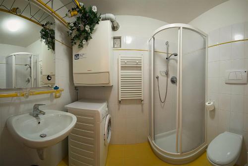 泰塞罗Casa Fam.Barbolini的一间带水槽、淋浴和卫生间的浴室