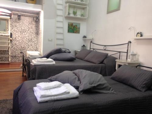 卡塔尼亚镇中之家公寓的客厅设有两张床,配有毛巾