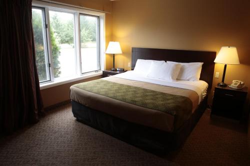 WetmoreQuality Inn & Suites Munising的酒店客房设有一张床和两个窗户。