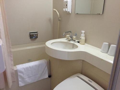 富山富山皇冠山酒店的一间带水槽和卫生间的小浴室