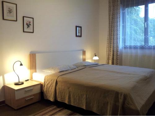 马里博尔Holiday Home Vesenjak的一间卧室设有一张大床和一个窗户。