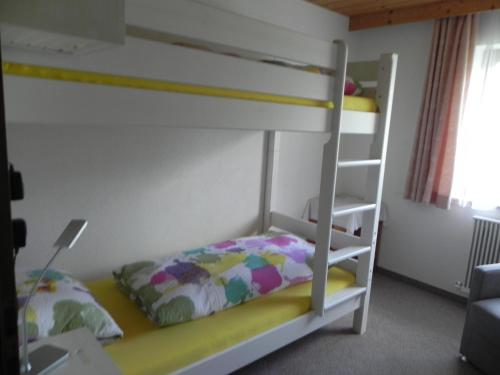 罗伊特斯查兹度假屋的一间卧室配有一张双层床和梯子