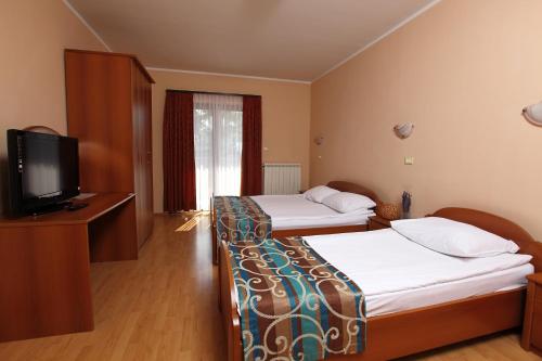 迪瓦查Bed and Breakfast Malovec的酒店客房设有两张床和电视。